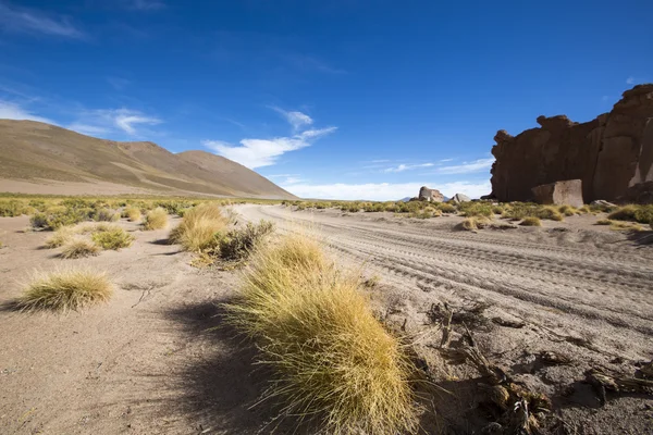 Sandy track en dorre landschap met blauwe hemel in Bolivia — Stockfoto