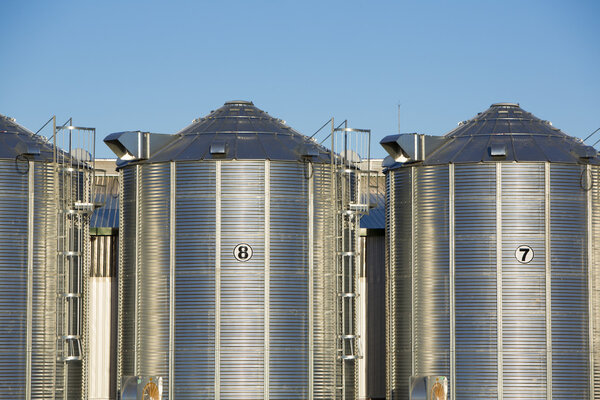 Group of grain silos in Uruguay with blue sky