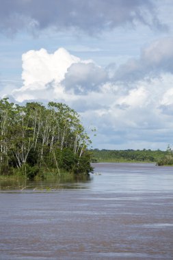 Brezilya Amazon yağmur ormanlarında Nehri üzerinde seyir