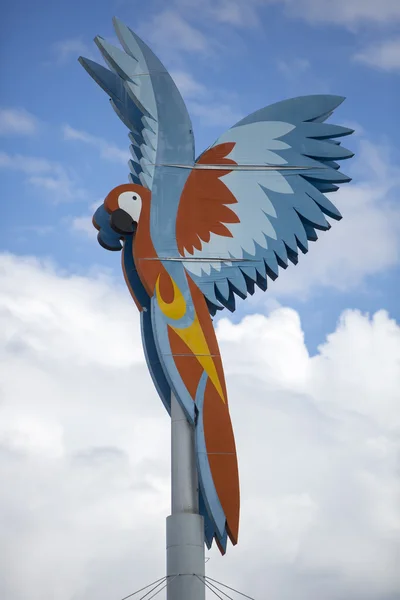 Wooden sign of parrot in the sky of Boa Vista, Brazil — Stock Photo, Image