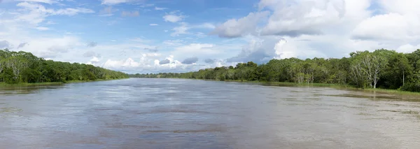Navegando por el río Amazonas, en la selva tropical, Brasil —  Fotos de Stock