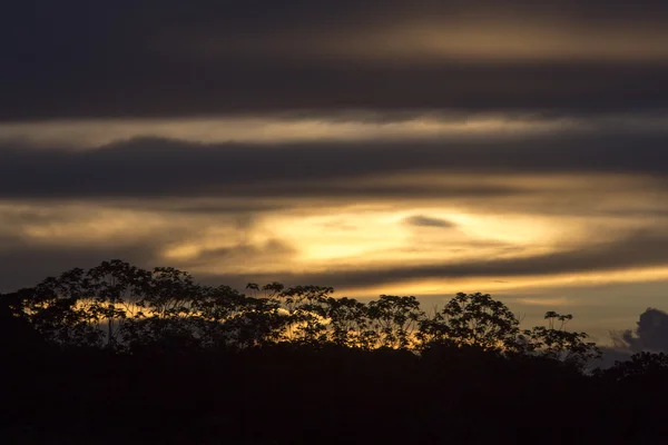 Colorful sunset on the river Amazon in the rainforest, Brazil — Stock Photo, Image