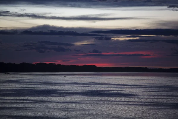 Барвисті sunset на березі річки Амазонка в тропічному лісі, Бразилія — стокове фото