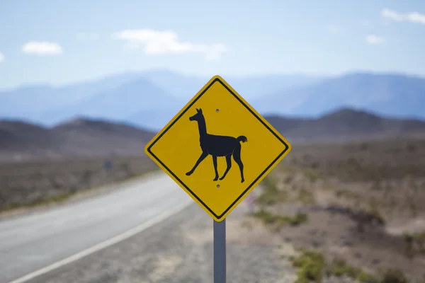 Lama-Wegweiser in Argentinien, Anden, Südamerika — Stockfoto