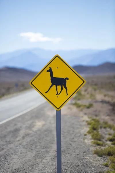 Lama weg ondertekenen in de Andes, Argentinië, Zuid-Amerika — Stockfoto