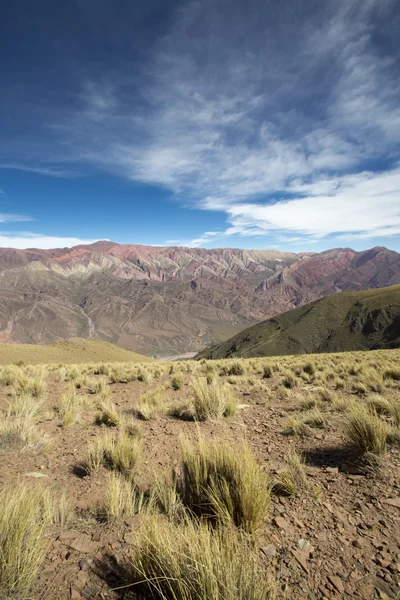 Quebrada de humahuaca, Kuzey Arjantin — Stok fotoğraf