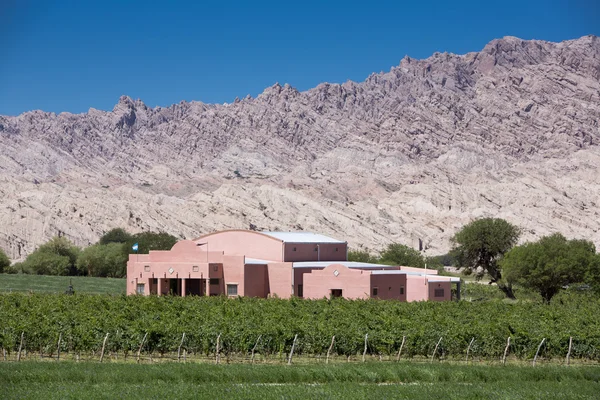 Vinice poblíž Cafayate se zvláštními skalními útvary, Argentina — Stock fotografie