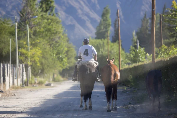 ブエノスアイレス, アルゼンチンの彼の馬に乗ってガウチョ — ストック写真