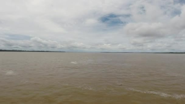 Kryssning på floden Amazonas, i regnskogen, Brasilien — Stockvideo