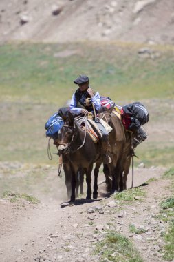 Arjantinli insan ve eşek Aconcagua, Arge çanta taşıyan