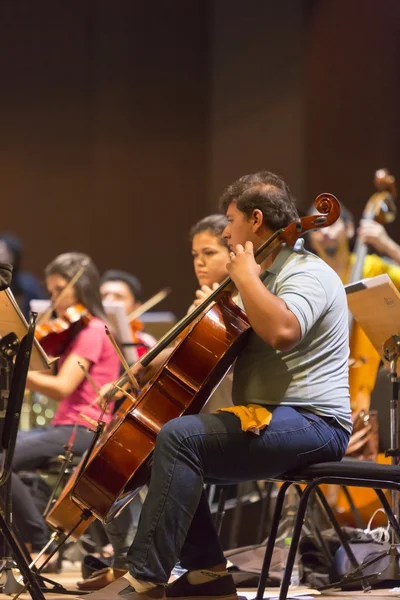 Violinisti in orchestra classica al lavoro a Manaus, Brasile — Foto Stock