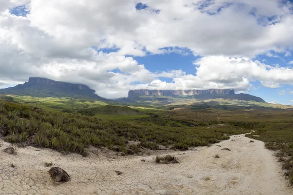 Wandelpad Kukenan tepui of Mt Roraima in Venezuela — Stockfoto