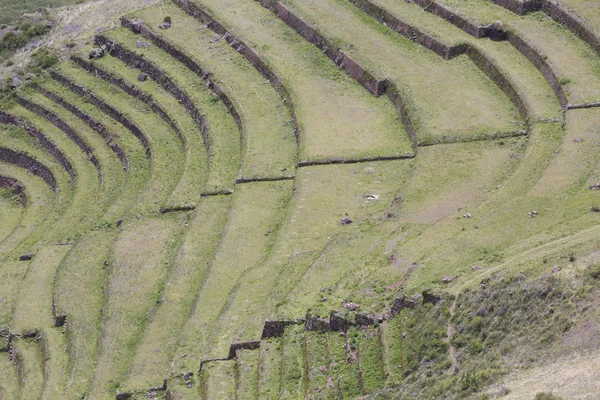 Okrągłe Tarasy rolne Inków w Peru, Sacred Valley — Zdjęcie stockowe