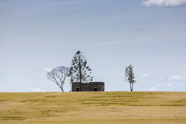 Casa assombrada deserta num campo vazio — Fotografia de Stock