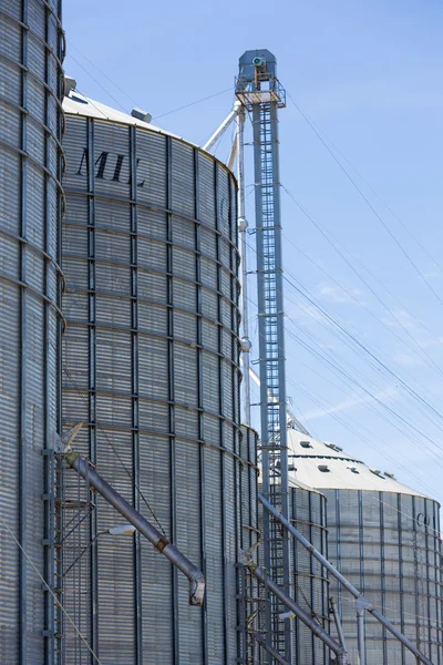 Gruppo di silos di grano in Uruguay con cielo blu — Foto Stock