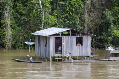 Amazon nehir ve yağmur ormanı, B stilts ahşap ev