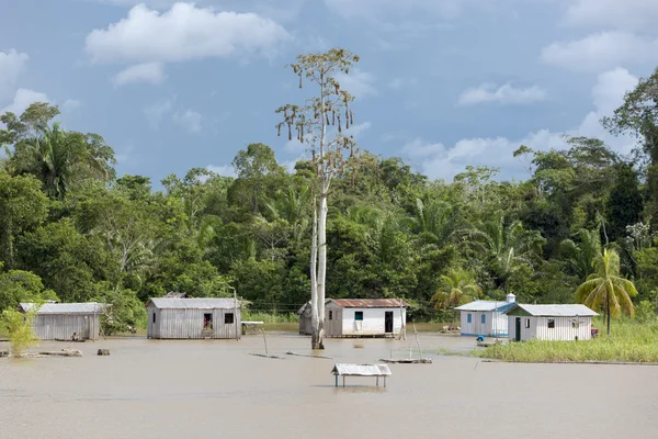 Trähus på styltor längs Amazonfloden och regnskog, — Stockfoto