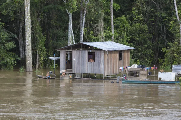 Casa in legno su palafitte lungo il Rio delle Amazzoni e foresta pluviale, B — Foto Stock