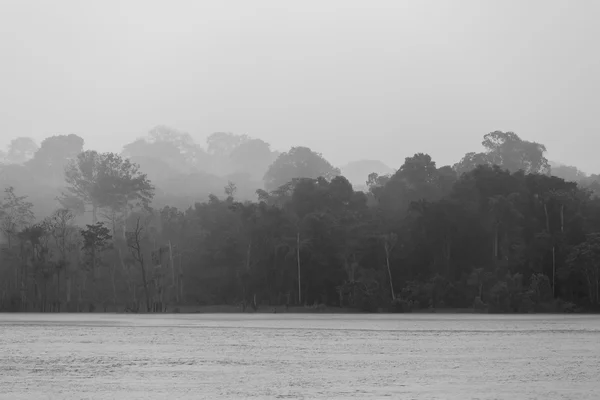 Pluie en forêt tropicale sur l'Amazone, Brésil — Photo