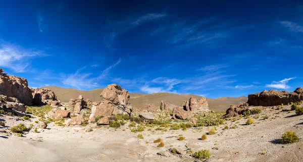 Rotsformaties met de vorm van een kameel met blauwe hemel, Bolivia — Stockfoto