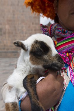 Perulu Kızılderili kadın geleneksel giysileri, Cusco