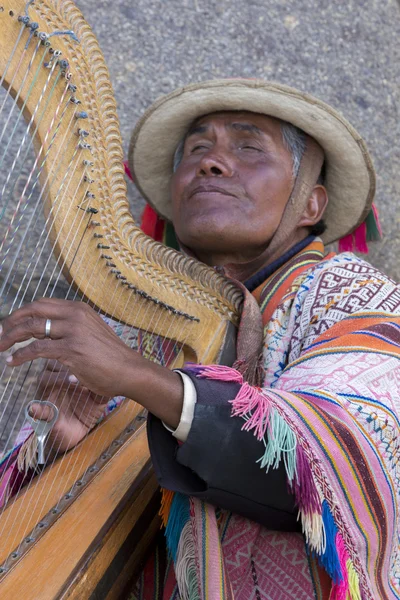 Peruwiański ślepy człowiek grający harfa w Cusco, Peru — Zdjęcie stockowe