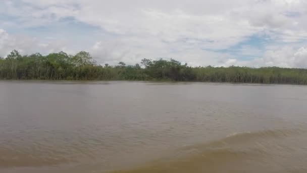 Cruising on the river the Amazon, in the rain forest, Brazil — Stock Video