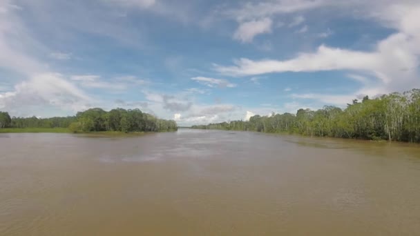 Cruising on the river the Amazon, in the rain forest, Brazil — Stock Video