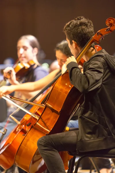Скрипалів у класичному оркестрі при роботі в Манаус, Бразилія — стокове фото