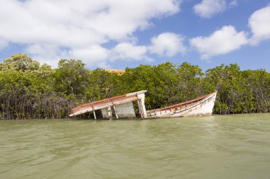 Ahşap batık tekne batıyor La Guajira, Colombia