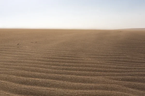 Vahşi plaj ve şaşırtıcı kumul: La Guajira, Colombia — Stok fotoğraf