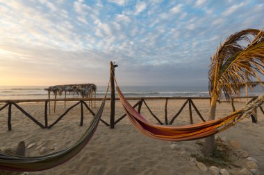 Romantic cozy hammocks with sunset on the beach, Punta Sal, Peru clipart