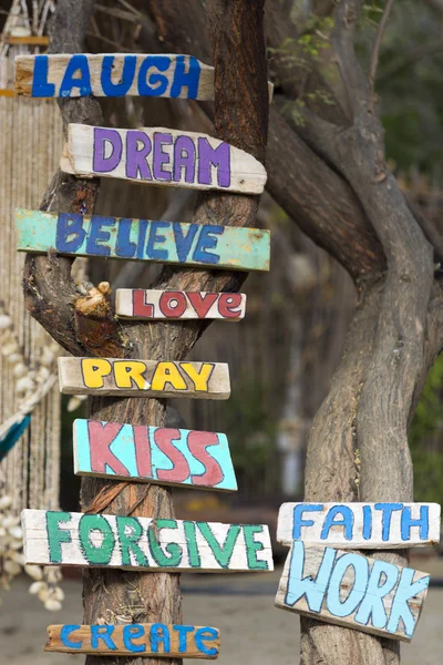 Various wooden signs on tree trunk in Mancora, Peru — Stock Photo, Image