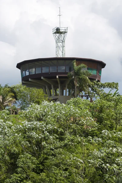 Modern house built on high concrete structure in forest, Bolivia — Stock Photo, Image