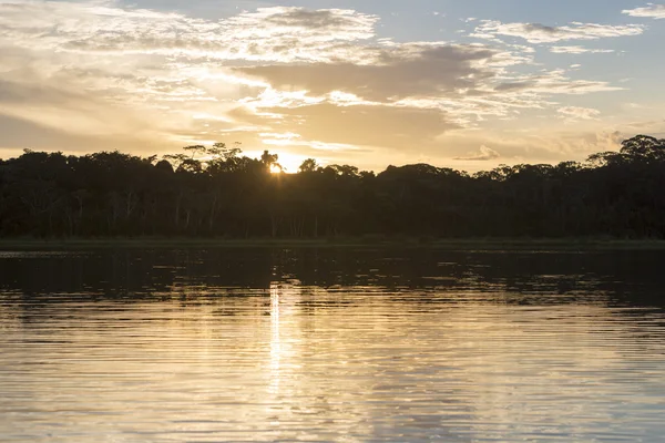 Serere リザーブ マディディの湖に沈む夕日。ボリビア — ストック写真