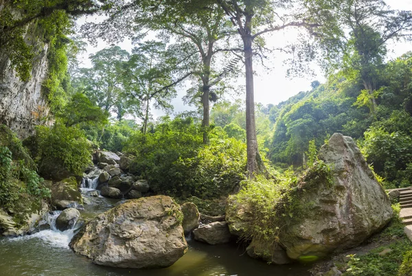 Şeytan'ın Mağarası, gölgelik ve Merida devlet orman — Stok fotoğraf