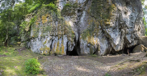 Cueva del Diablo, dosel y bosque en el estado de Mérida — Foto de Stock