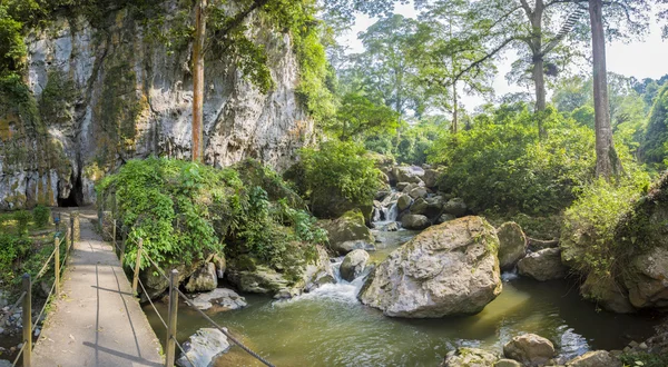 Cueva del Diablo, dosel y bosque en el estado de Mérida — Foto de Stock