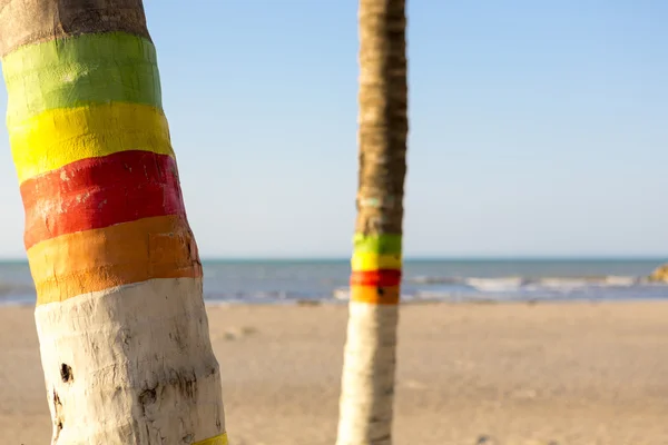 Palmeiras coloridas e praia na Colômbia — Fotografia de Stock