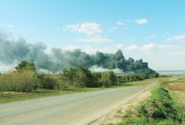 Doğa, çevre için tehlike kirliliği