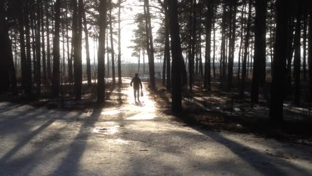 Bosque, nieve y principios de primavera, camino - material de video — Vídeos de Stock