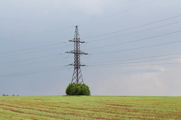 Línea eléctrica - electricidad, cable eléctrico — Foto de Stock