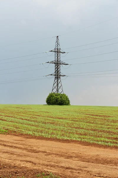 Línea eléctrica - electricidad, cable eléctrico — Foto de Stock