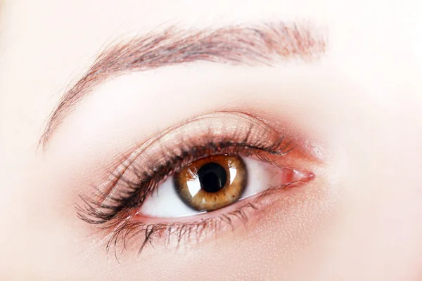 Zbliżenie na oko womans brązowy — Zdjęcie stockowe