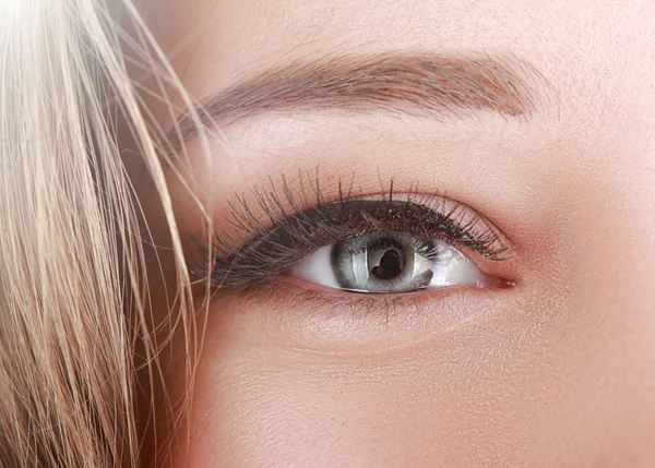 Weibchen mit schönen grauen Augen — Stockfoto