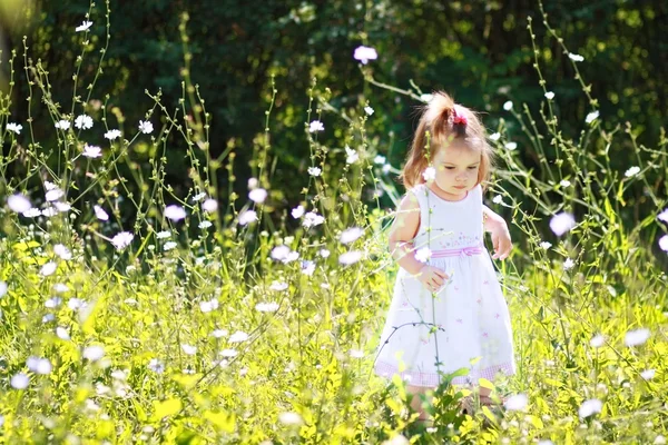 在草原上的小女孩 — 图库照片