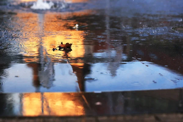 Wasser auf Asphalt mit Herbstblatt — Stockfoto