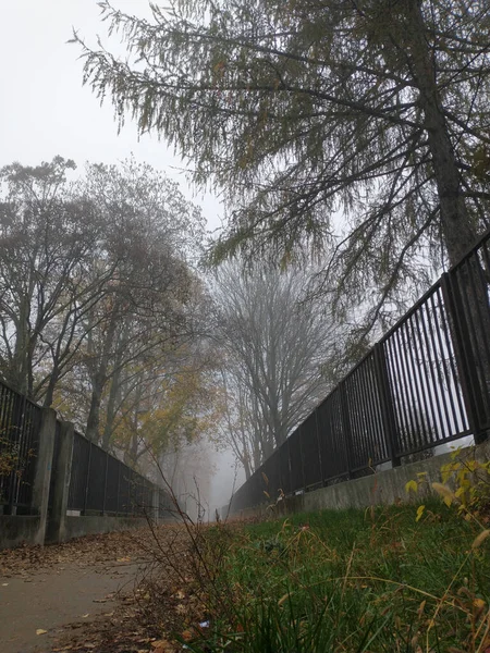 Late Autumn Walk Path Moody Alley Foggy Day Two Fences — Stock Photo, Image