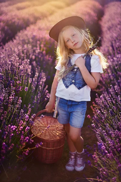 Blondes Kleines Mädchen Mit Cowboyhut Hält Korb Auf Lavendelfeld — Stockfoto