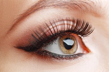 Beautiful eye with makeup clipart